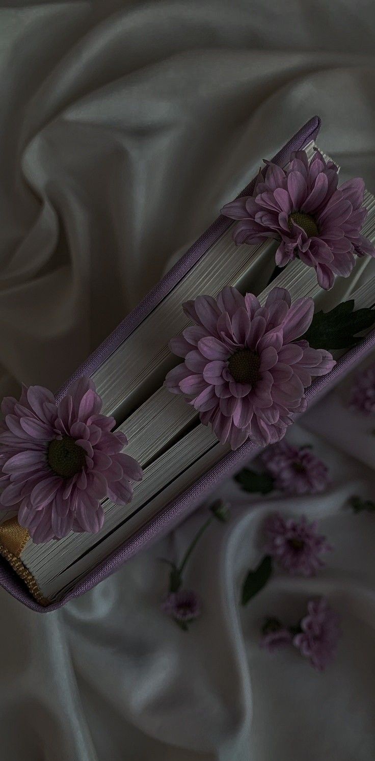 ندى القحطاني